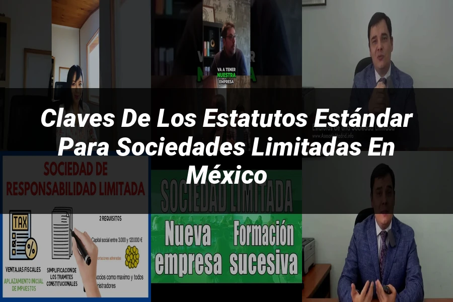 "Claves de los Estatutos Estándar para Sociedades Limitadas en México"