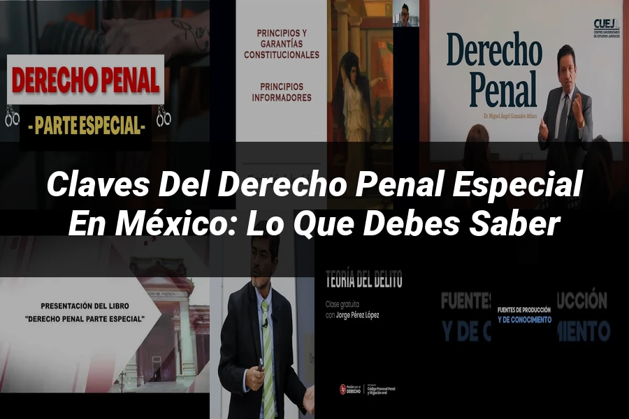 "Claves del Derecho Penal Especial en México: Lo que Debes Saber"