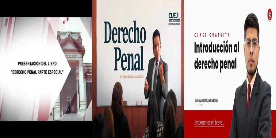 "Claves del Derecho Penal Especial en México: Lo que Debes Saber"