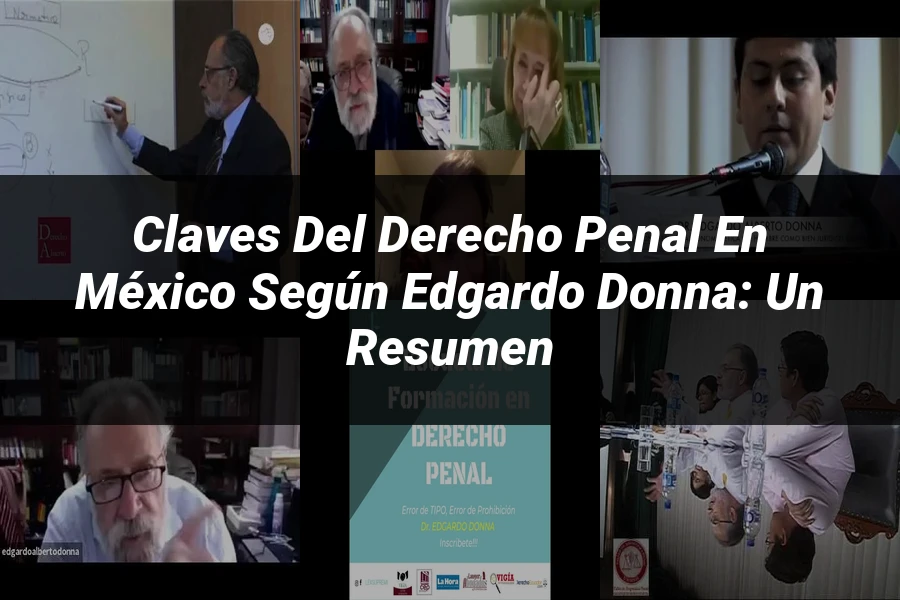 "Claves del Derecho Penal en México según Edgardo Donna: Un Resumen"