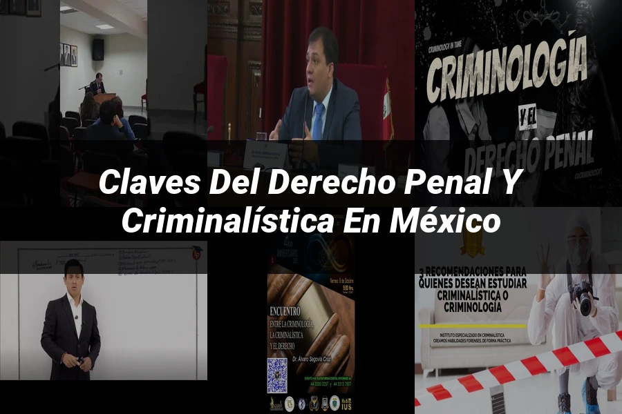 "Claves del derecho penal y criminalística en México"