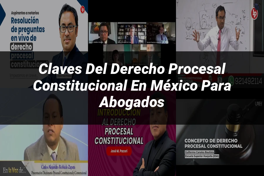 "Claves del derecho procesal constitucional en México para abogados"