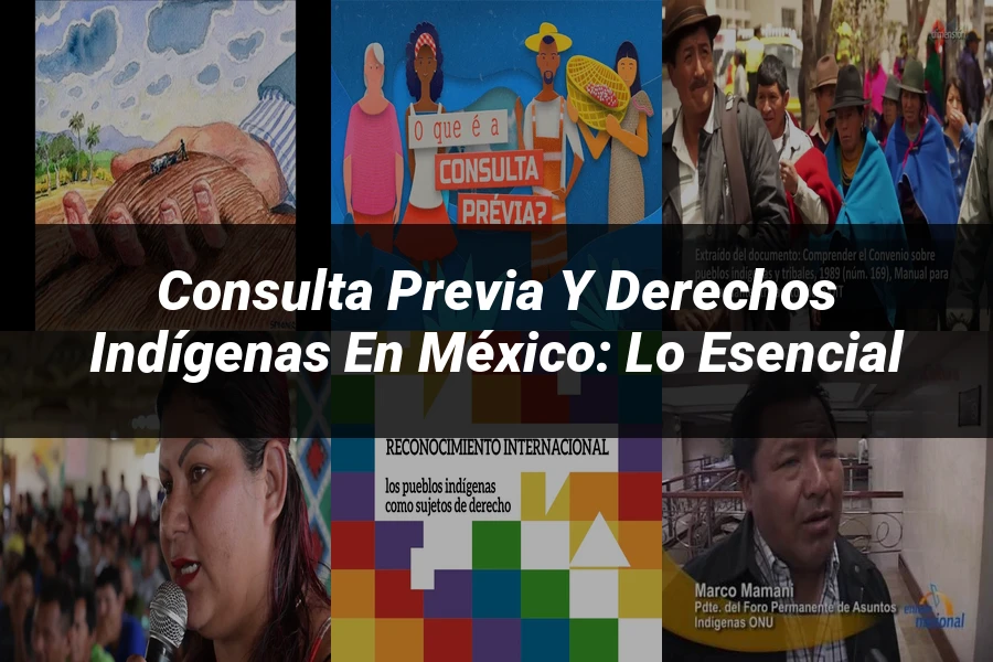 "Consulta Previa y Derechos Indígenas en México: Lo Esencial"