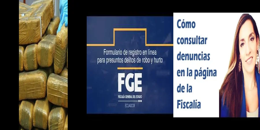 "Consulta de denuncias en México: tus derechos y opciones legales"