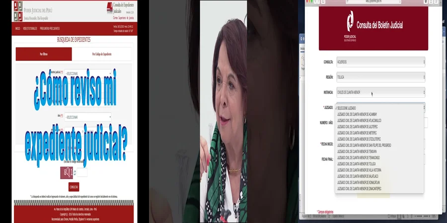 "Consulta virtual del poder judicial: tu derecho a la justicia en México"
