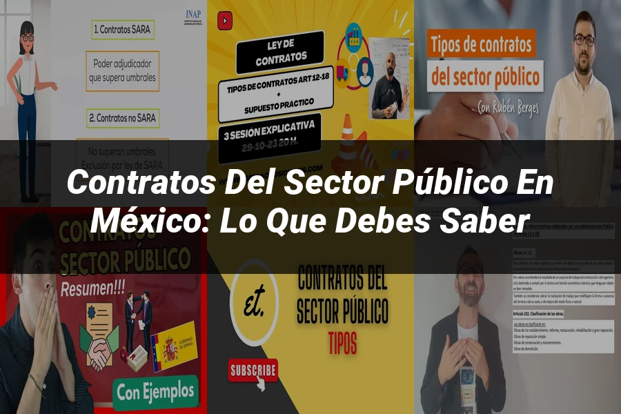 "Contratos del Sector Público en México: Lo Que Debes Saber"