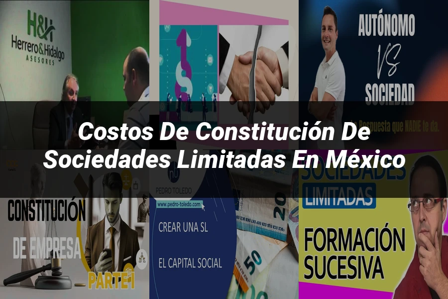 "Costos de constitución de sociedades limitadas en México"
