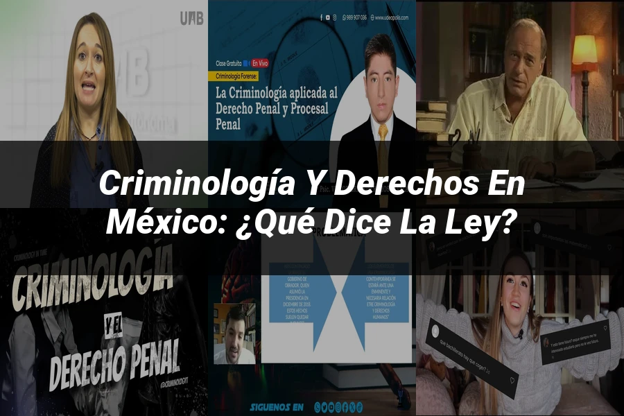 "Criminología y derechos en México: ¿Qué dice la ley?"