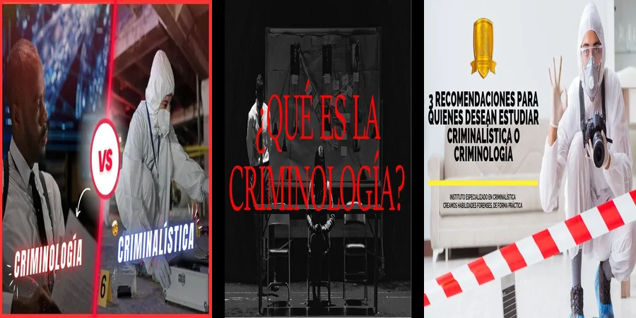 "Criminología y derechos en México: ¿Qué dice la ley?"