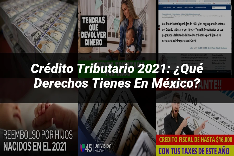 "Crédito Tributario 2021: ¿Qué Derechos Tienes en México?"