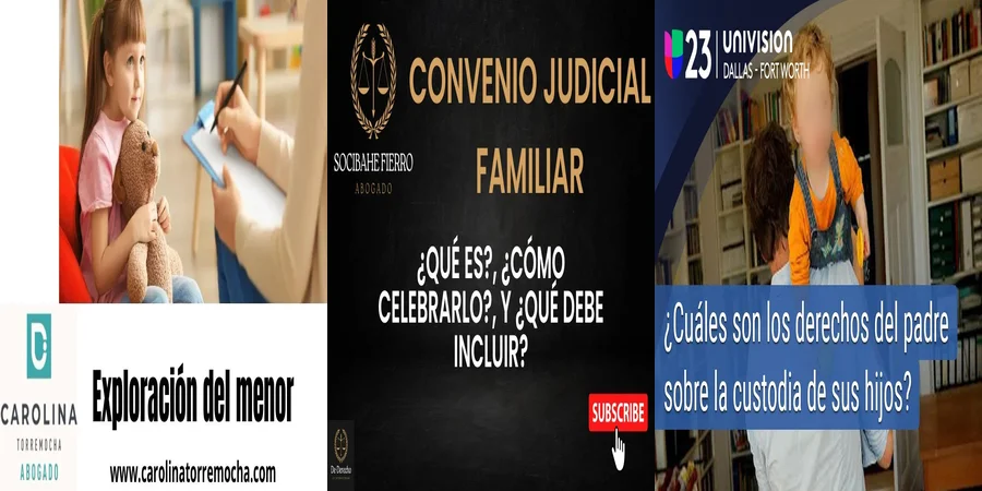 "Custodia en Juzgados de Familia: Derechos Clave en México"