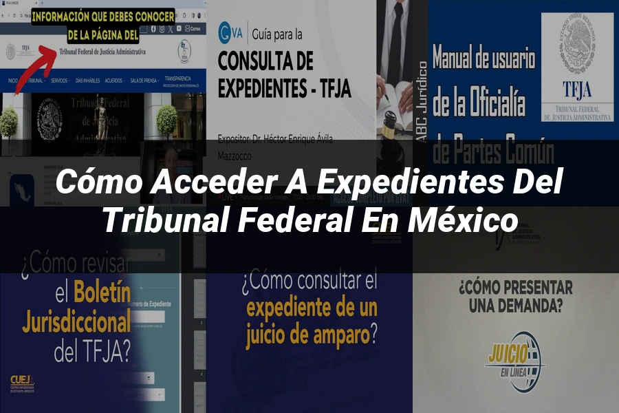 "Cómo Acceder a Expedientes del Tribunal Federal en México"
