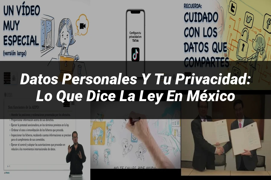 "Datos personales y tu privacidad: lo que dice la ley en México"