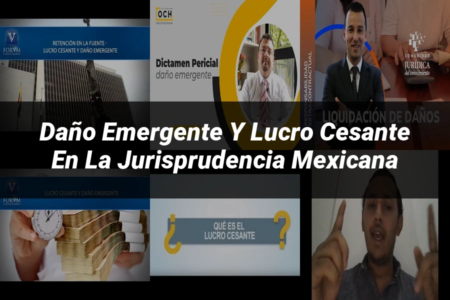 "Daño emergente y lucro cesante en la jurisprudencia mexicana"