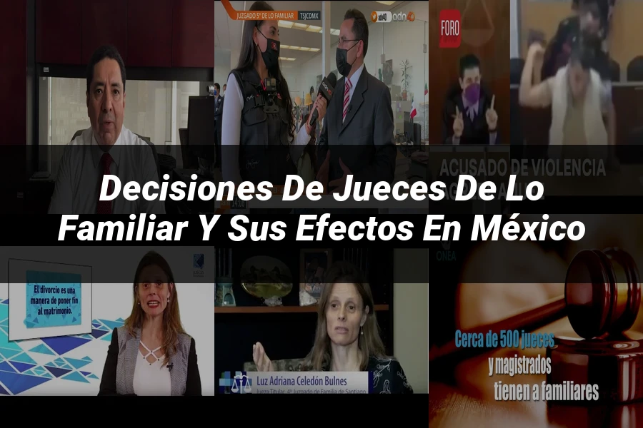 "Decisiones de jueces de lo familiar y sus efectos en México"
