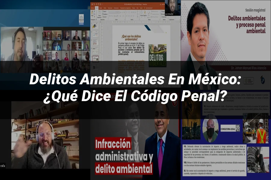 "Delitos Ambientales en México: ¿Qué Dice el Código Penal?"