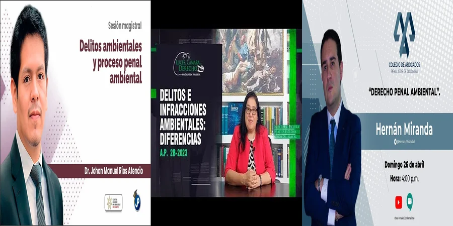 "Delitos Ambientales en México: ¿Qué Dice el Código Penal?"