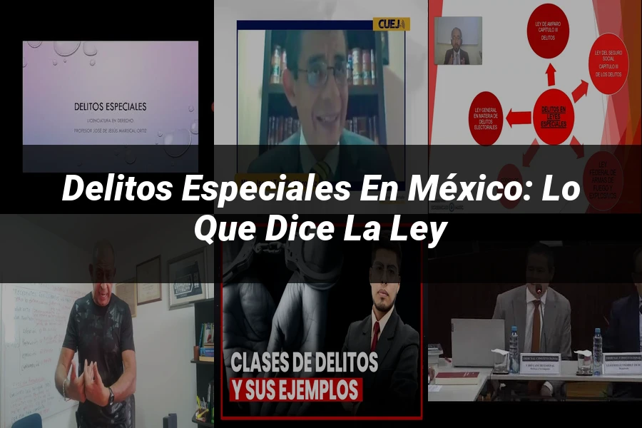 "Delitos Especiales en México: Lo Que Dice la Ley"