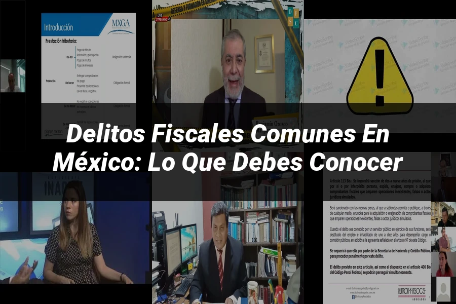 "Delitos Fiscales Comunes en México: Lo Que Debes Conocer"