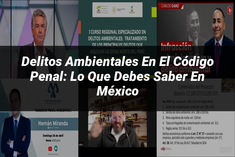 "Delitos ambientales en el código penal: lo que debes saber en México"