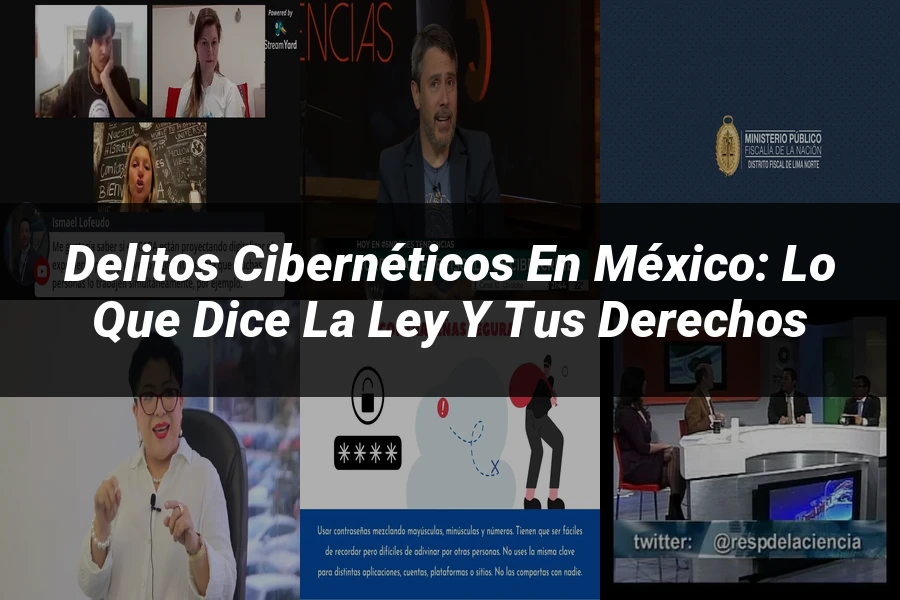 "Delitos cibernéticos en México: lo que dice la ley y tus derechos"