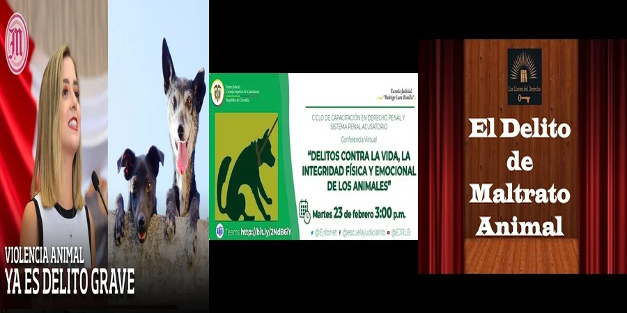 "Delitos contra animales en México: Lo que dice el código penal"