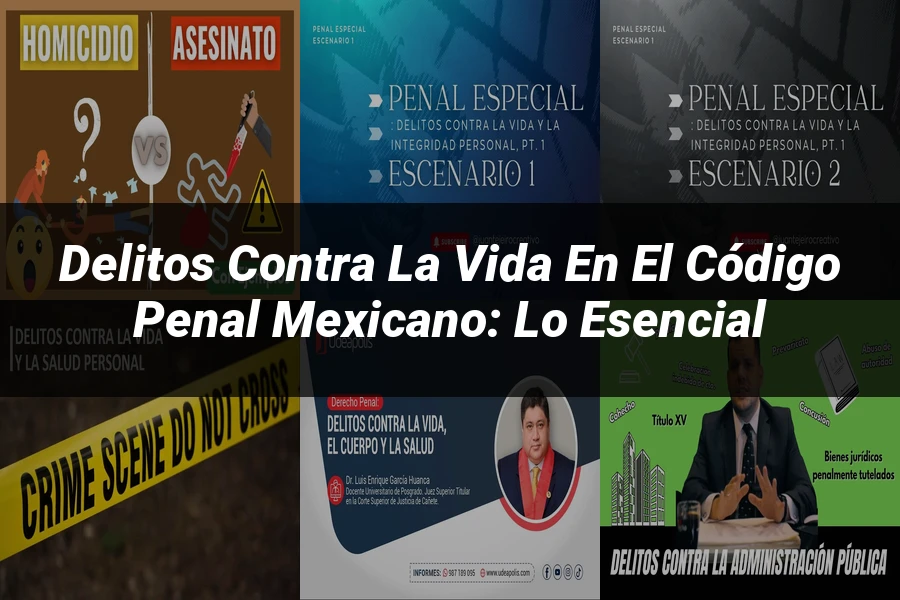 "Delitos contra la vida en el código penal mexicano: lo esencial"