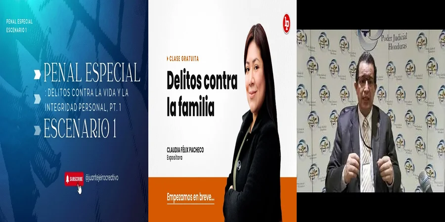 "Delitos contra la vida en el código penal mexicano: lo esencial"