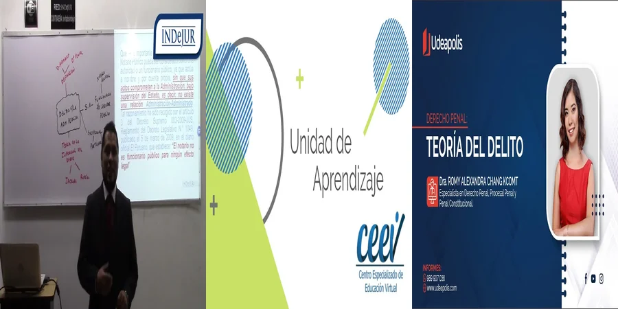 "Delitos especiales en México: Implicaciones y derechos legales"