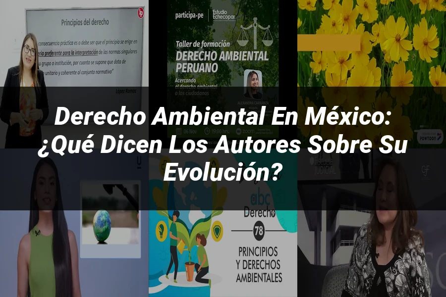 "Derecho Ambiental en México: ¿Qué Dicen los Autores sobre su Evolución?"