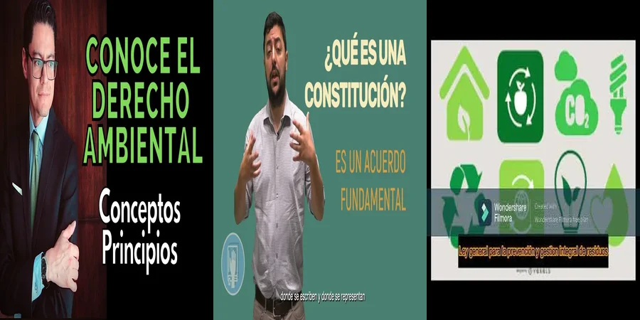 "Derecho Ambiental en la Constitución: Lo Que Debes Saber en México"
