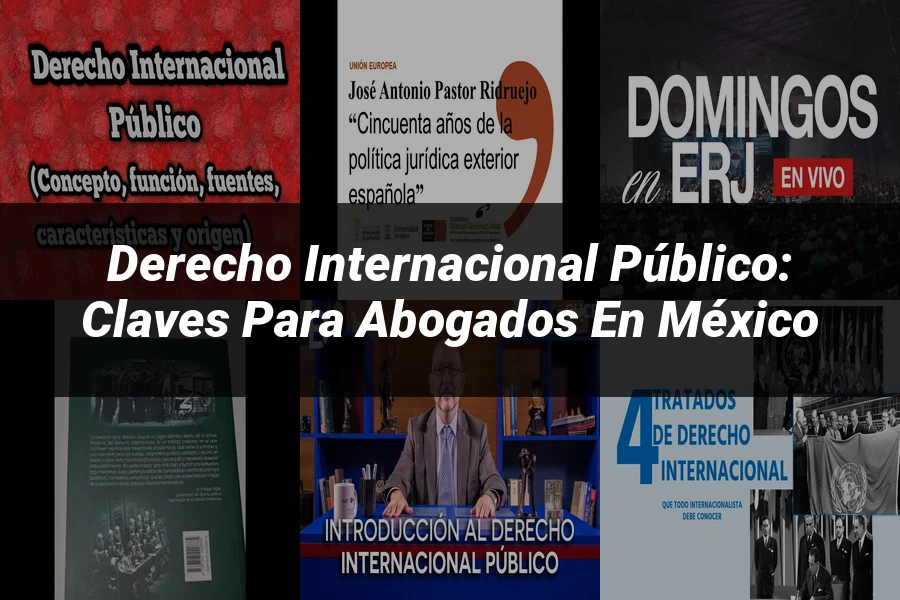 "Derecho Internacional Público: Claves para Abogados en México"
