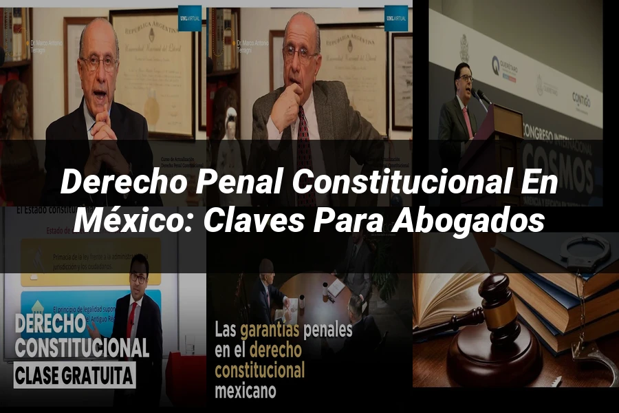 "Derecho Penal Constitucional en México: Claves para Abogados"
