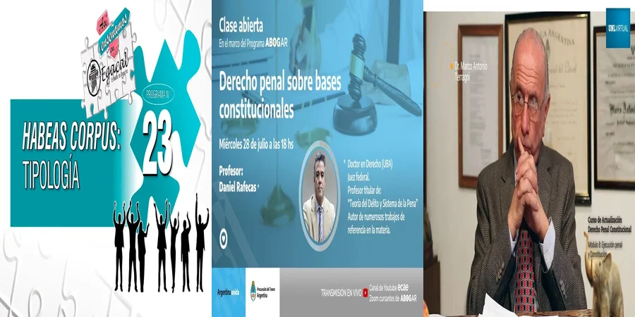 "Derecho Penal Constitucional en México: Claves para Abogados"