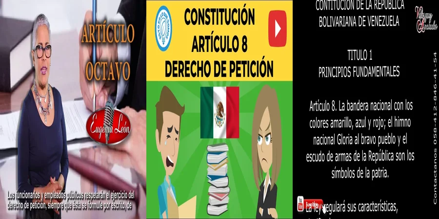 "Derecho a Petición en México: ¿Qué Dice el Artículo 8?"