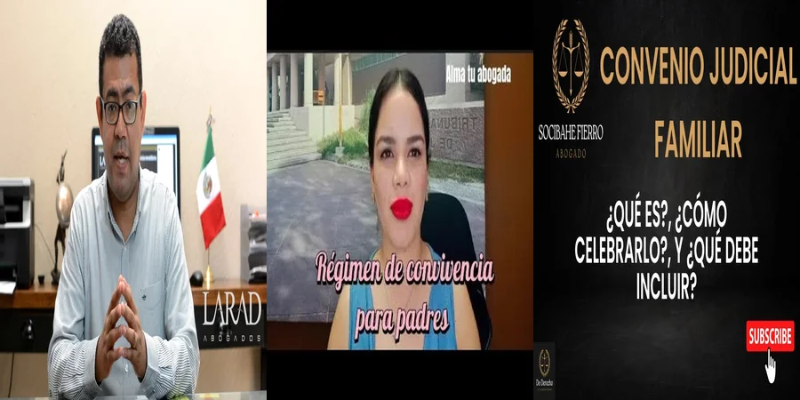 "Derecho a la convivencia familiar: lo que dice la ley en México"