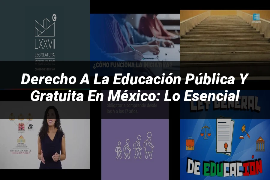 "Derecho a la educación pública y gratuita en México: lo esencial"