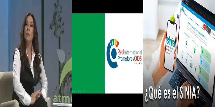"Derecho a la información ambiental: claves legales en México"