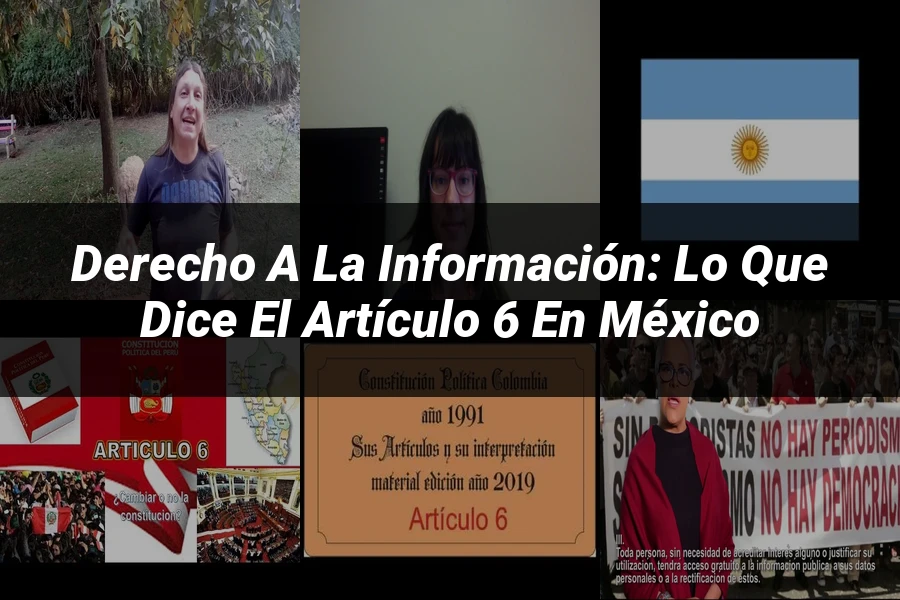 "Derecho a la información: Lo que dice el artículo 6 en México"