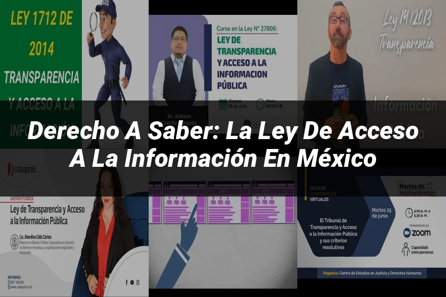 "Derecho a saber: la ley de acceso a la información en México"