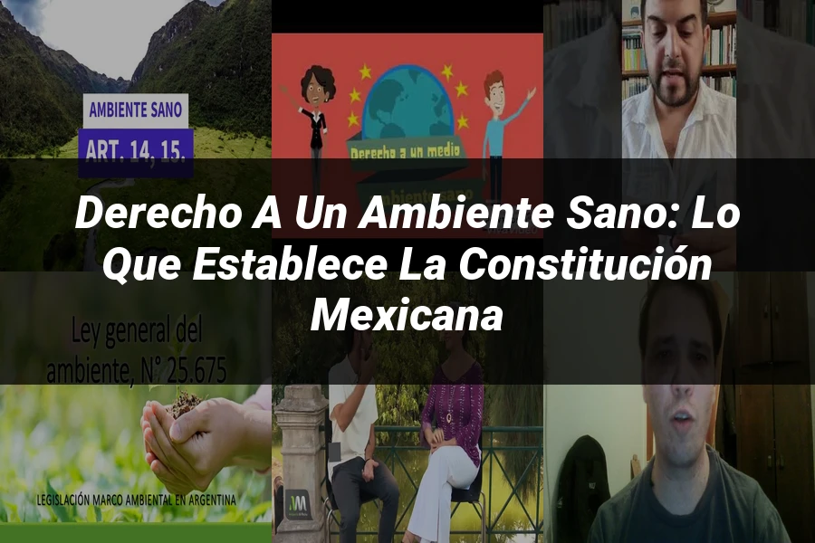 "Derecho a un Ambiente Sano: Lo que Establece la Constitución Mexicana"
