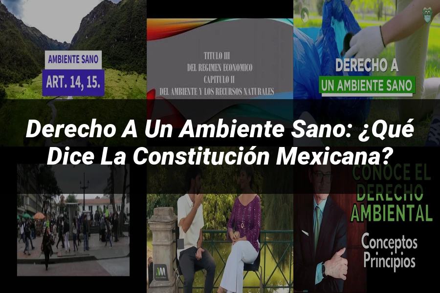 "Derecho a un Ambiente Sano: ¿Qué Dice la Constitución Mexicana?"