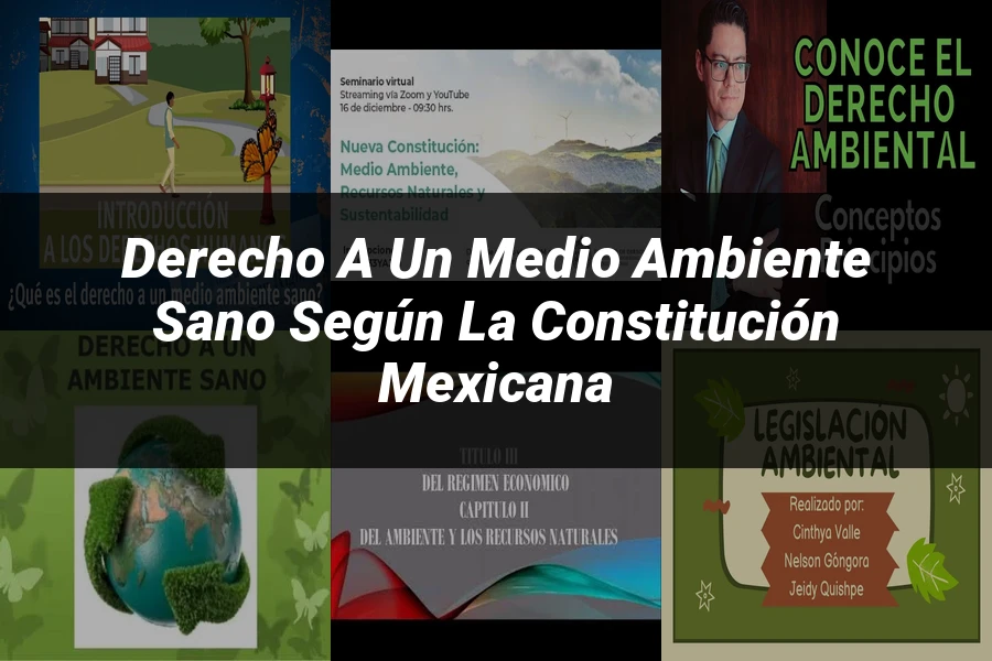 "Derecho a un Medio Ambiente Sano según la Constitución Mexicana"