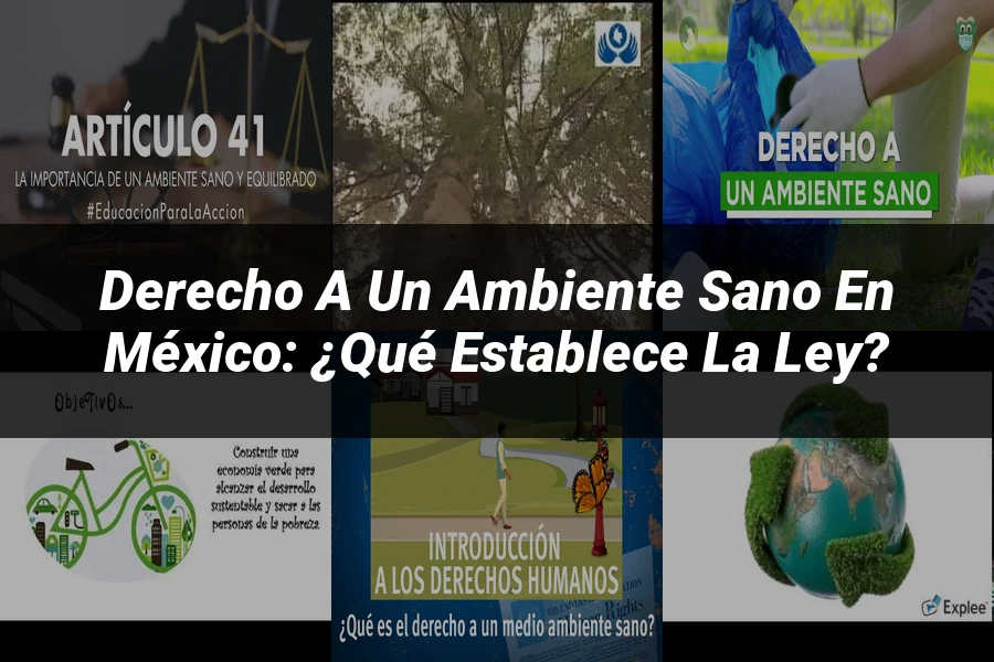 "Derecho a un ambiente sano en México: ¿Qué establece la ley?"