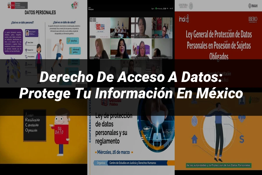 "Derecho de Acceso a Datos: Protege tu Información en México"