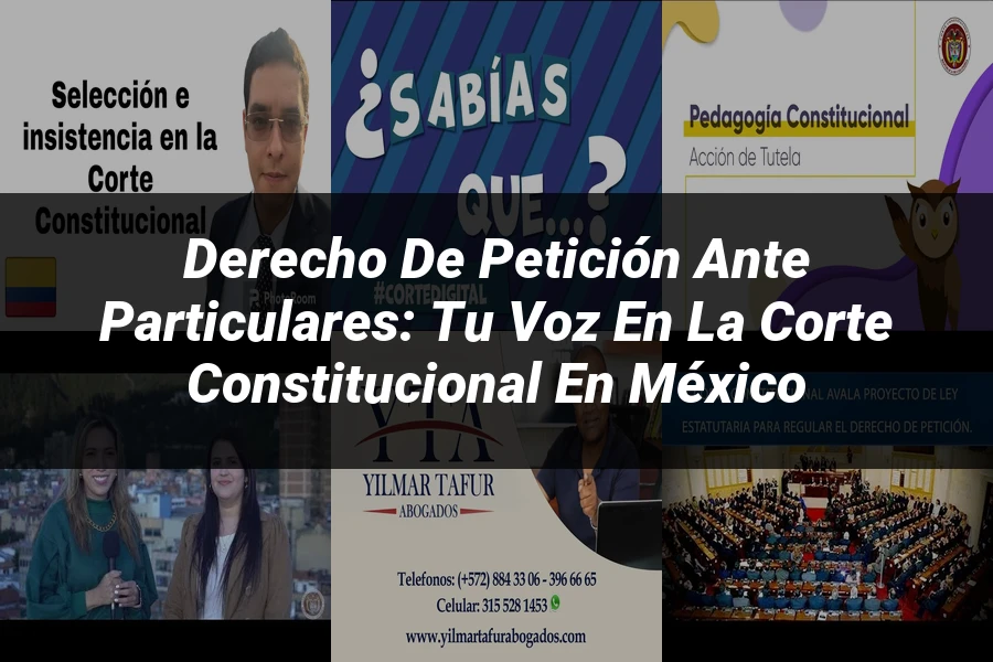 "Derecho de Petición ante Particulares: Tu Voz en la Corte Constitucional en México"