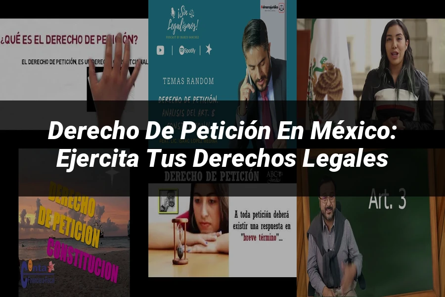 "Derecho de Petición en México: Ejercita tus Derechos Legales"