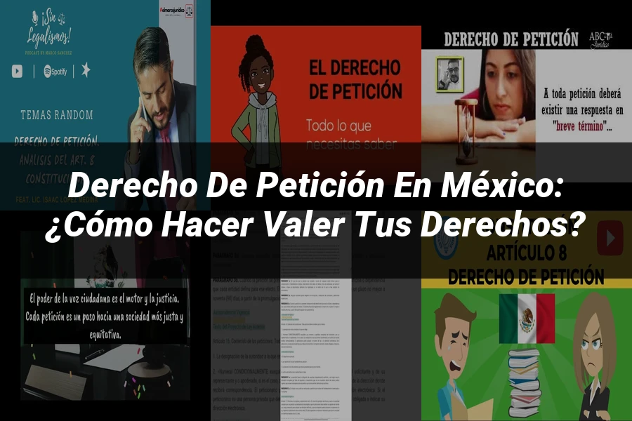 "Derecho de petición en México: ¿Cómo hacer valer tus derechos?"