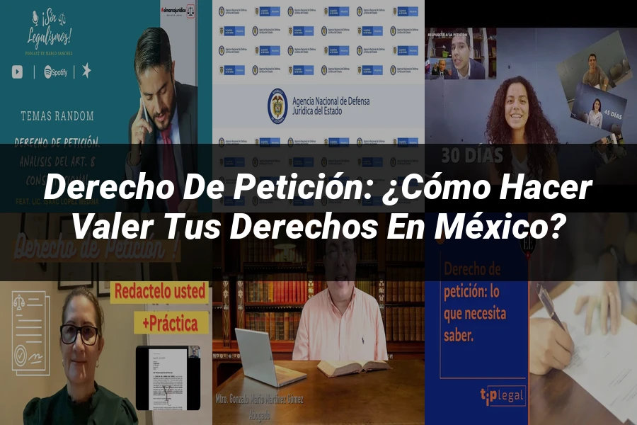 "Derecho de petición: ¿Cómo hacer valer tus derechos en México?"