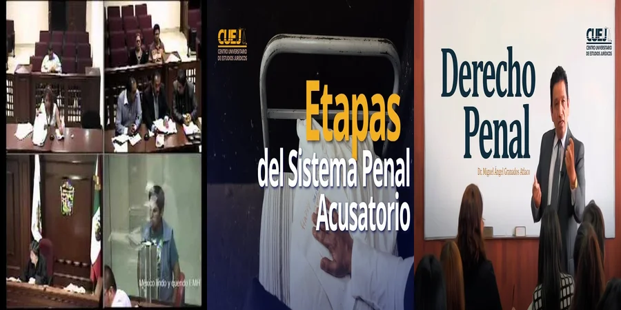 "Derecho penal acusatorio: Lo que debes saber en México"